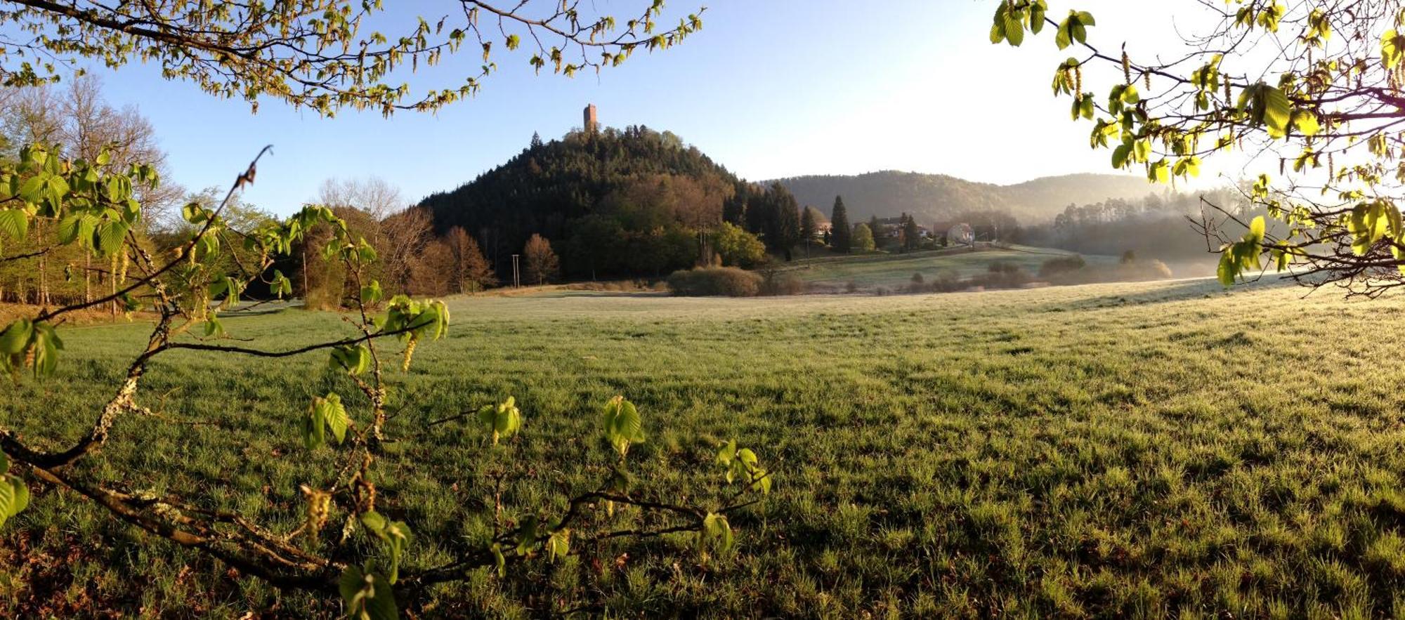 Le Gite De L'Ecureuil Sturzelbronn المظهر الخارجي الصورة