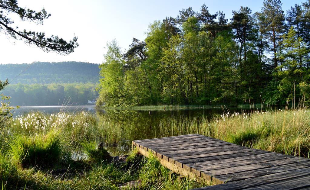 Le Gite De L'Ecureuil Sturzelbronn المظهر الخارجي الصورة