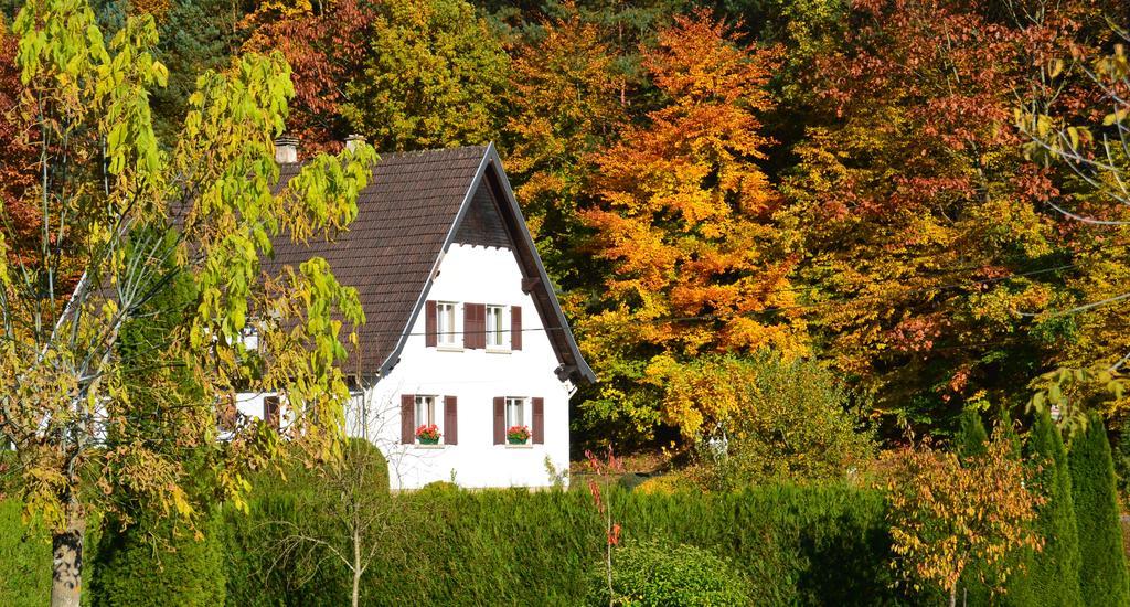 Le Gite De L'Ecureuil Sturzelbronn المظهر الخارجي الصورة