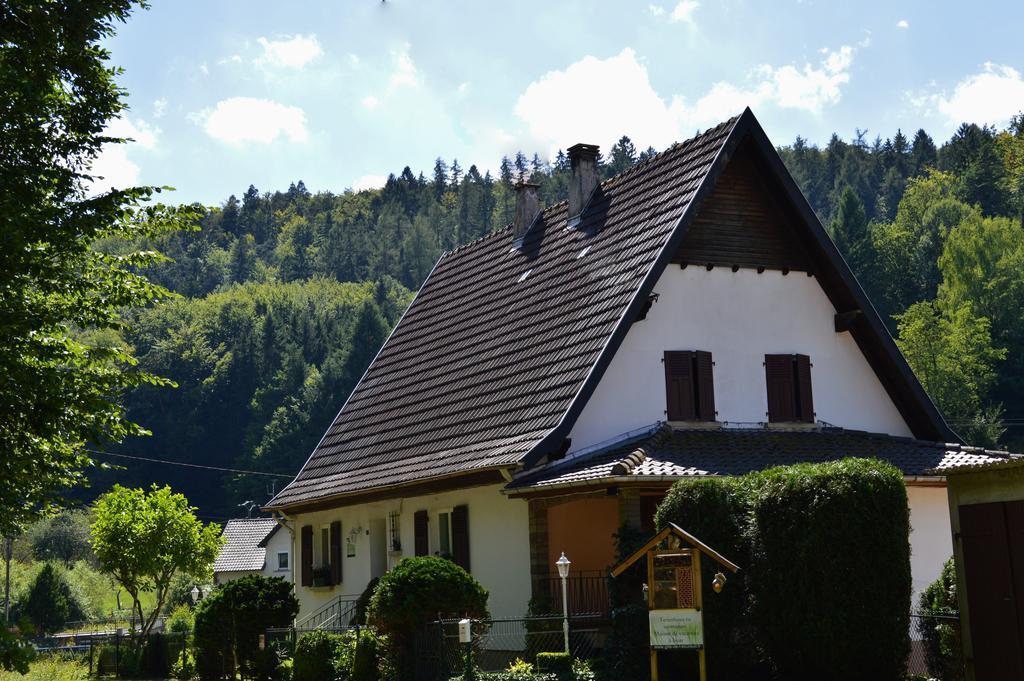 Le Gite De L'Ecureuil Sturzelbronn المظهر الخارجي الصورة