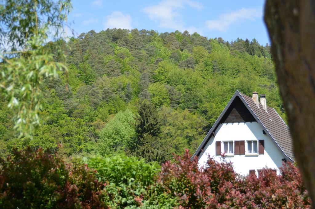 Le Gite De L'Ecureuil Sturzelbronn المظهر الخارجي الصورة