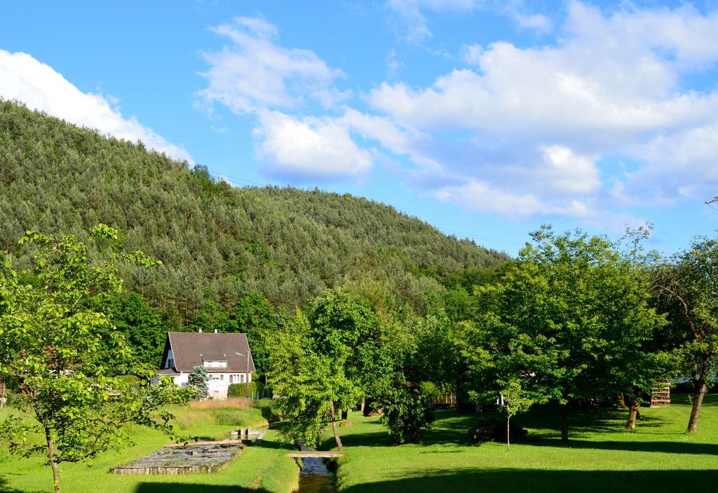 Le Gite De L'Ecureuil Sturzelbronn المظهر الخارجي الصورة