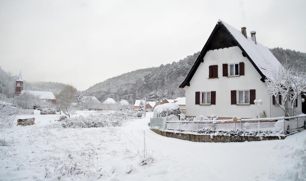 Le Gite De L'Ecureuil Sturzelbronn المظهر الخارجي الصورة