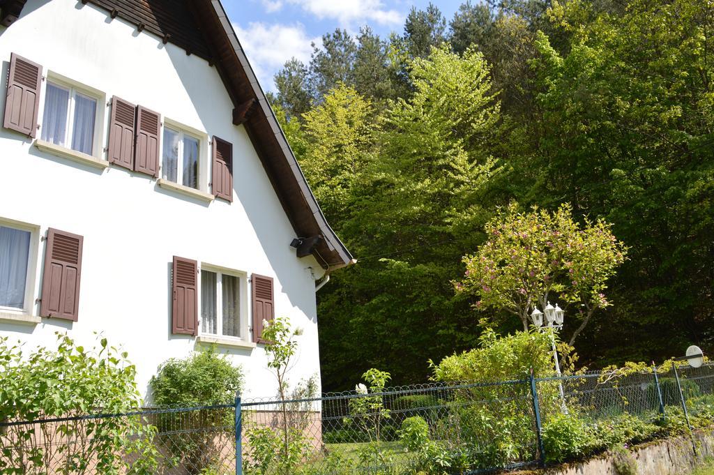 Le Gite De L'Ecureuil Sturzelbronn المظهر الخارجي الصورة