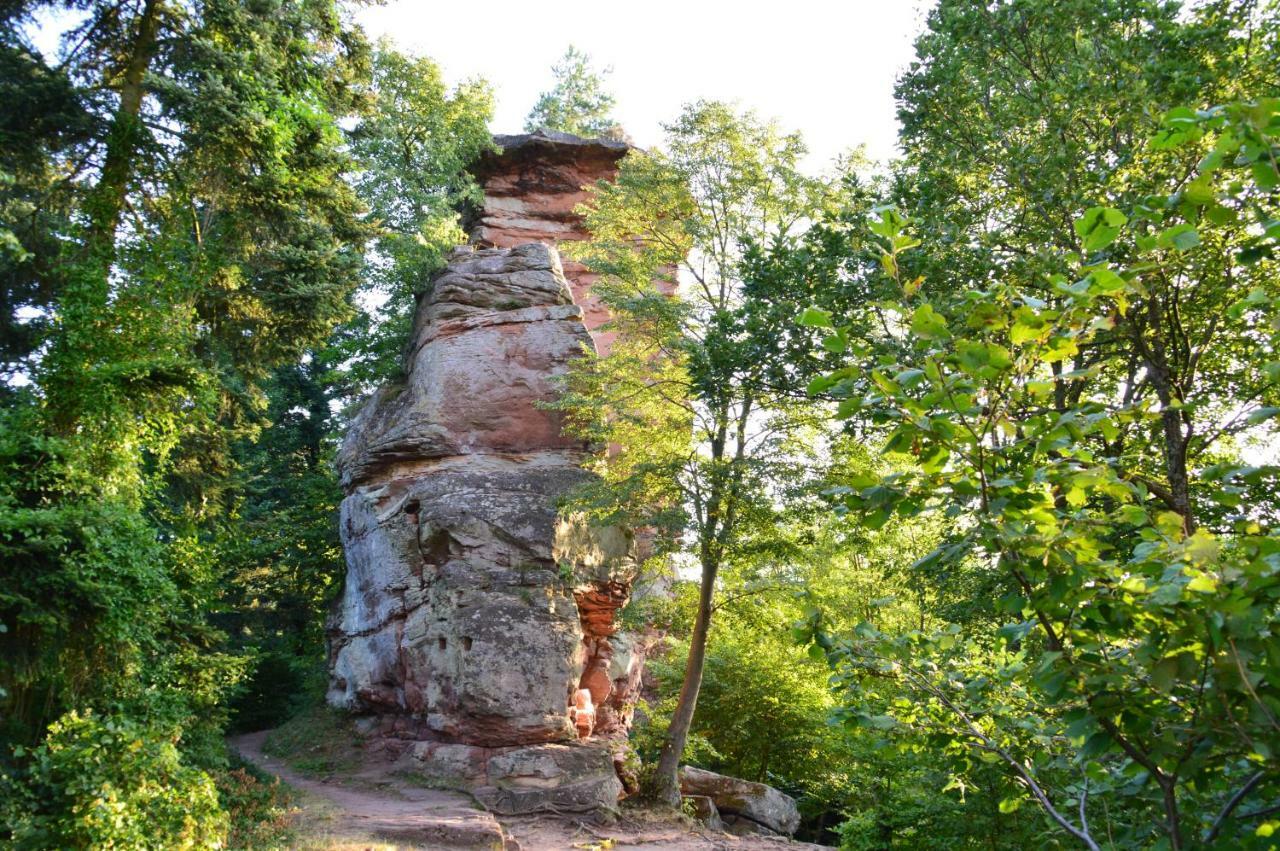 Le Gite De L'Ecureuil Sturzelbronn المظهر الخارجي الصورة
